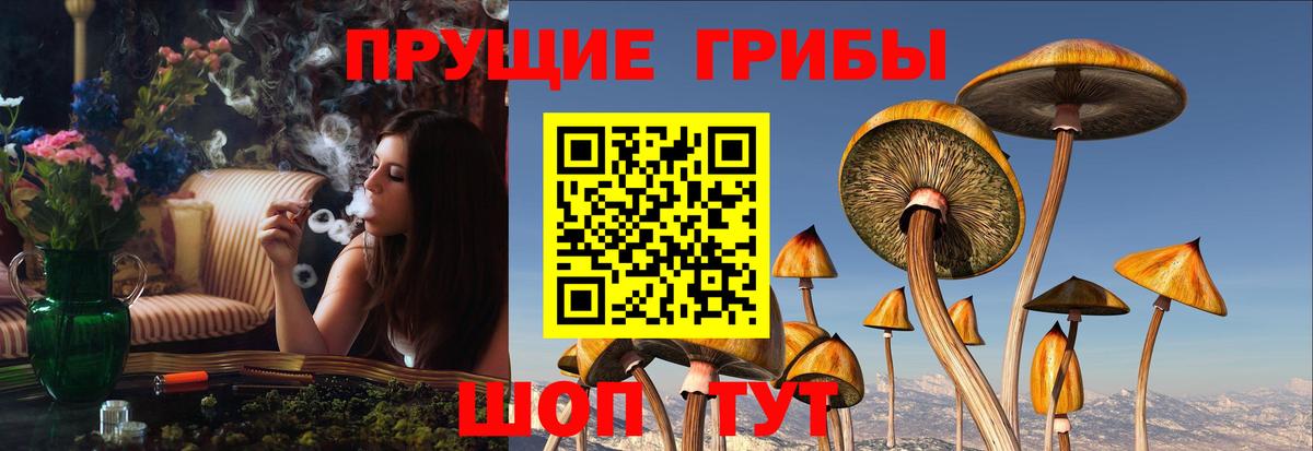 Дзержинск  Галлюциногенные грибы мухоморы  Вход с VPN 